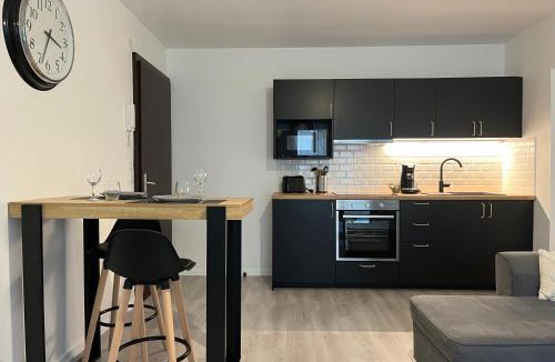 Poincare - Foch - Anatole France - Croix de Bourgogne Apartment | Appartement cosy à Nancy - Parking privé
