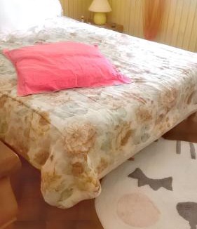 Tarbes Apartment | Appartement cosy à Tarbes - Terrasse et jardin clôturé