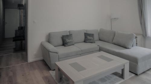 Senones Apartment | Appartement cosy 70m2 Vue château 6 pers Nature & calme Vosges
