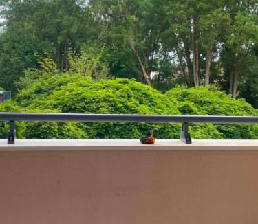 Quartier Canrobert Apartment | Appartement cosy au bord des quais !