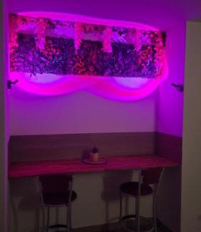 Norroy Apartment | Appartement cosy au calme proche thermes