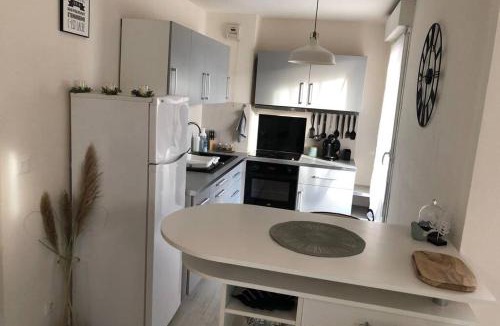 Blagnac Apartment | Appartement cosy avec jardin à Blagnac.