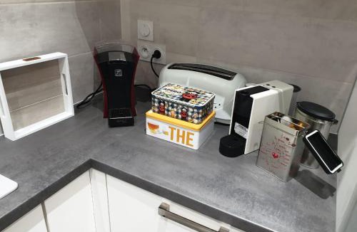 Lons-le-Saunier Apartment | Appartement COSY et chaleureux