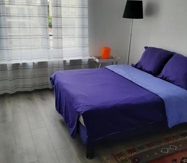 Charenton-le-Pont Apartment | Appartement cosy de centre ville