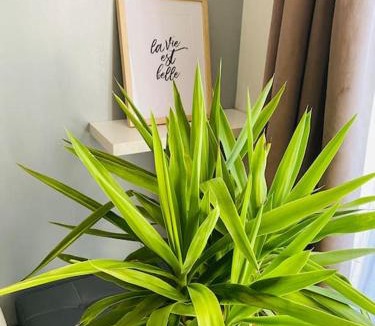 Mantes-la-Ville Apartment | Appartement cosy entre Paris & Normandie