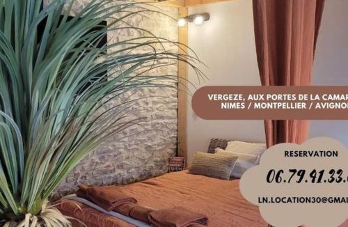 Vergeze Apartment | Appartement cosy & piscine privée - Le Strelitzia