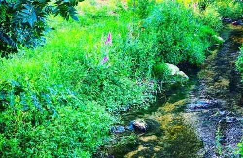 Fresnes-en-Woevre Apartment | Appartement dans maison avec cour et parc