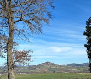 Saint-Martin-des-Plains Apartment | appartement dans un château