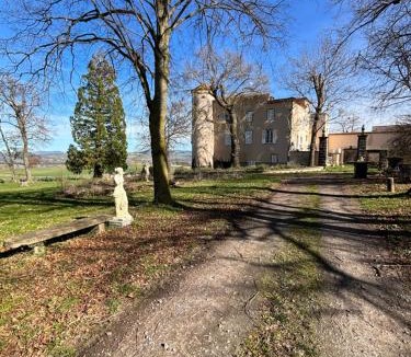 Saint-Martin-des-Plains Apartment | appartement dans un château