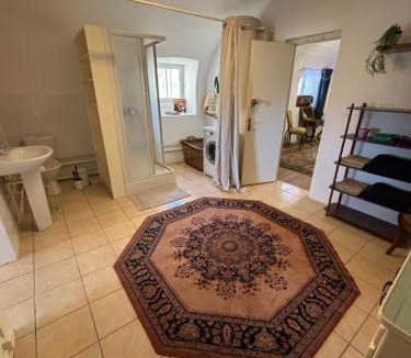 Saint-Martin-des-Plains Apartment | appartement dans un château