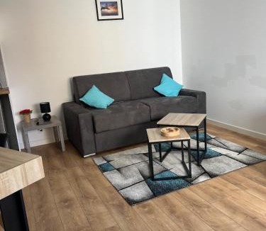 Chateaubriant Apartment | Appartement des dauphins