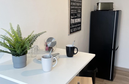 Chateauroux Apartment | Appartement du Grand Parc (2)