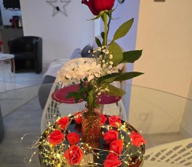 Wittelsheim Apartment | appartement en sous sol