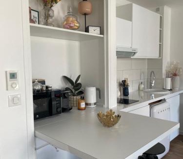 Ozoir-la-Ferriere Apartment | Appartement Entre Paris et Disney