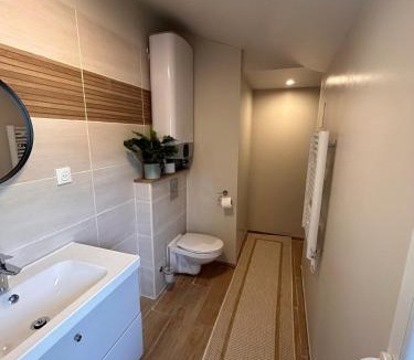 Saint-Dizier Apartment | Appartement F1 duplex Hyper centre