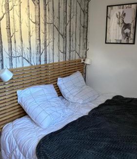 Germ Apartment | Appartement familial station de Peyragudes