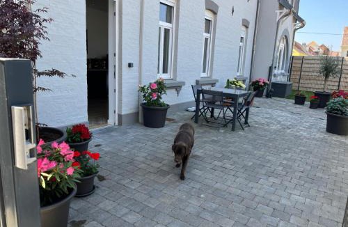 Fort-Mahon-Plage Apartment | Appartement Fort Mahon 250m de la plage