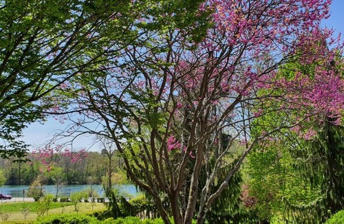 Boissise-la-Bertrand Apartment | Appartement