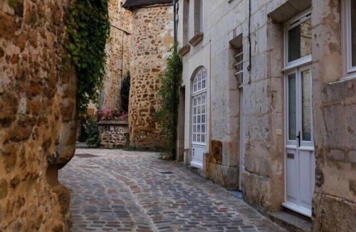 Mortagne-au-Perche Apartment | Appartement « La Caresse de l’Amarante »