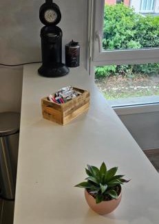 Saint-Andre-lez-Lille Apartment | Appartement 2 chambres avec terrasse et garage