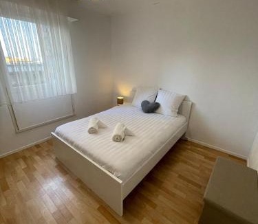 Vandoeuvre-les-Nancy Apartment | Appartement bambou