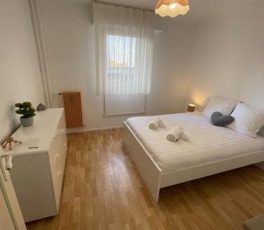 Vandoeuvre-les-Nancy Apartment | Appartement bambou