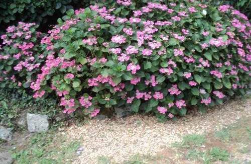 Villemoisan Apartment | Appartement