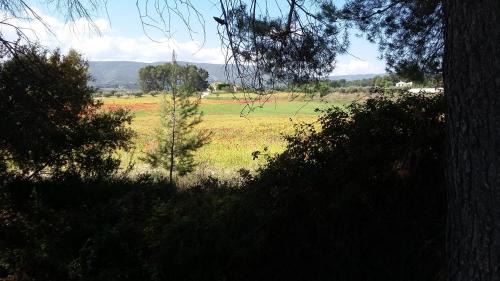 Ontinyent Apartment | Appartement La Ponça