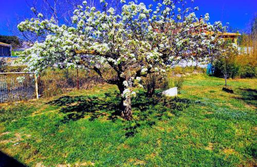 Ontinyent Apartment | Appartement La Ponça