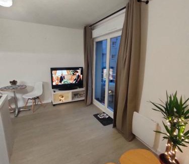 La Maladrerie Apartment | Appartement Le doux Viking, balcon & parking privé proche Zénith Caen