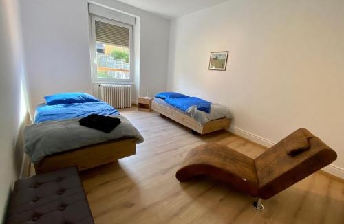 Belfort Apartment | Appartement Le lion