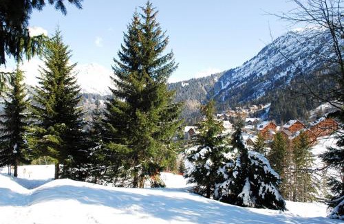 Oz-en-Oisans Apartment | Appartement Le Pic Blanc