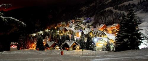 Oz-en-Oisans Apartment | Appartement Le Pic Blanc