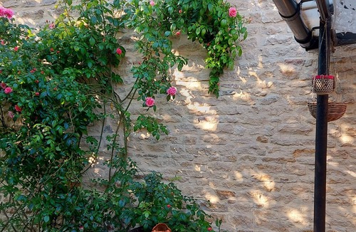 Chardonnay Apartment | Appartement Le Solutré