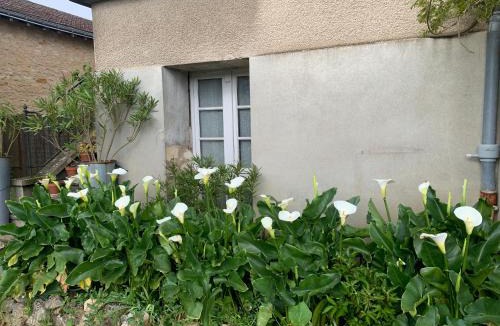 Poitiers Apartment | Appartement Les Acanthes 2ch Poitiers centre