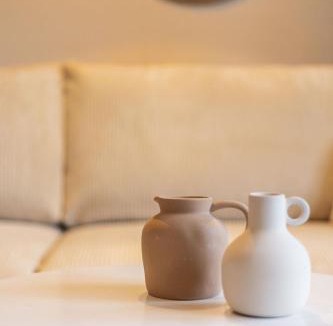 Thionville Apartment | Appartement Les Oiseaux