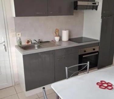 Flore Apartment | Appartement lumineux avec jardin à Le Mans, 35 m², 2 pers.