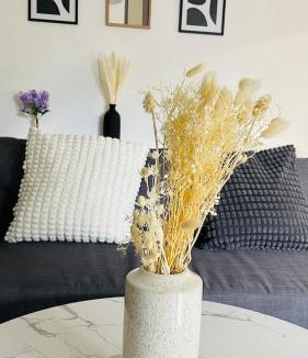 Lemasson Apartment | Appartement Lumineux près du centre de Montpellier