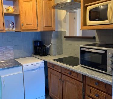 Vaujany Apartment | Appartement Matiski