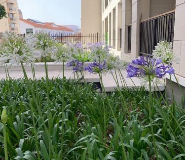 Saint-Victor Apartment | Appartement Moderne à Marseille avec Balcon et Vue sur Jardin