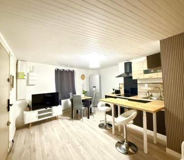 Rive-de-Gier Apartment | Appartement Neuf