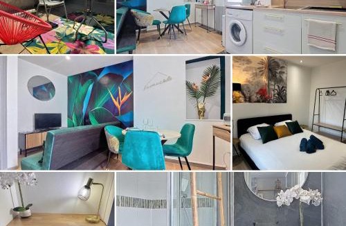 Moulins Apartment | Appartement Oiseau du Paradis avec terrasse parking privé proche centre