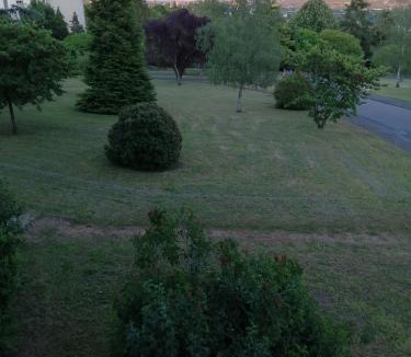 Montrichard Apartment | Appartement pres de beauval et des châteaux