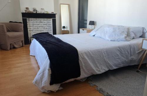 Le Marais House | Appartement privatif cozy Euratechnologies