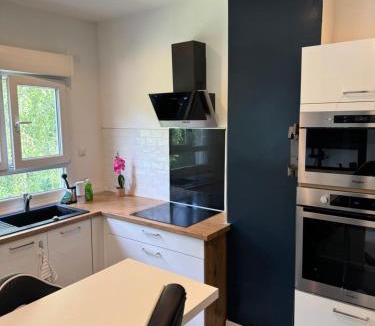 Saint-Avertin Apartment | Appartement proche de Tours