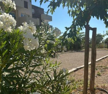 Le Muy Apartment | Appartement proche mer