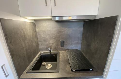 La Roche-Posay Apartment | Appartement RDC avec Terrasse, Proche Thermes du Connétable, WiFi, Animaux Acceptés - FR-1-541-29