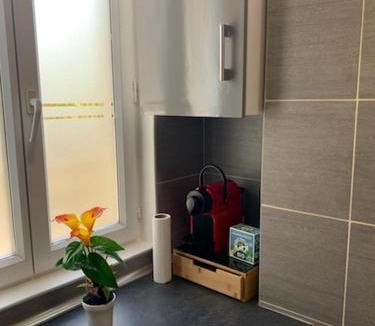 Bagneux Apartment | appartement RDC gauche