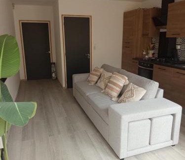 Aubigny-sur-Nere Apartment | Appartement Rez de chaussée