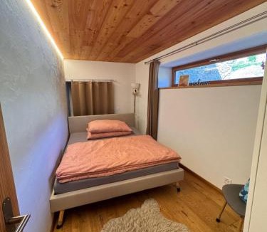 Chandolin-près-Savièse Apartment | Appartement Rosa au coeur des 4 Vallées